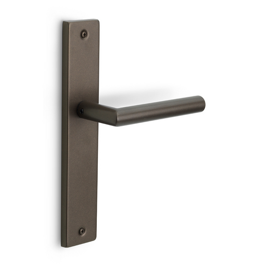 LB2-19P14SFC - Door Handles On Plate