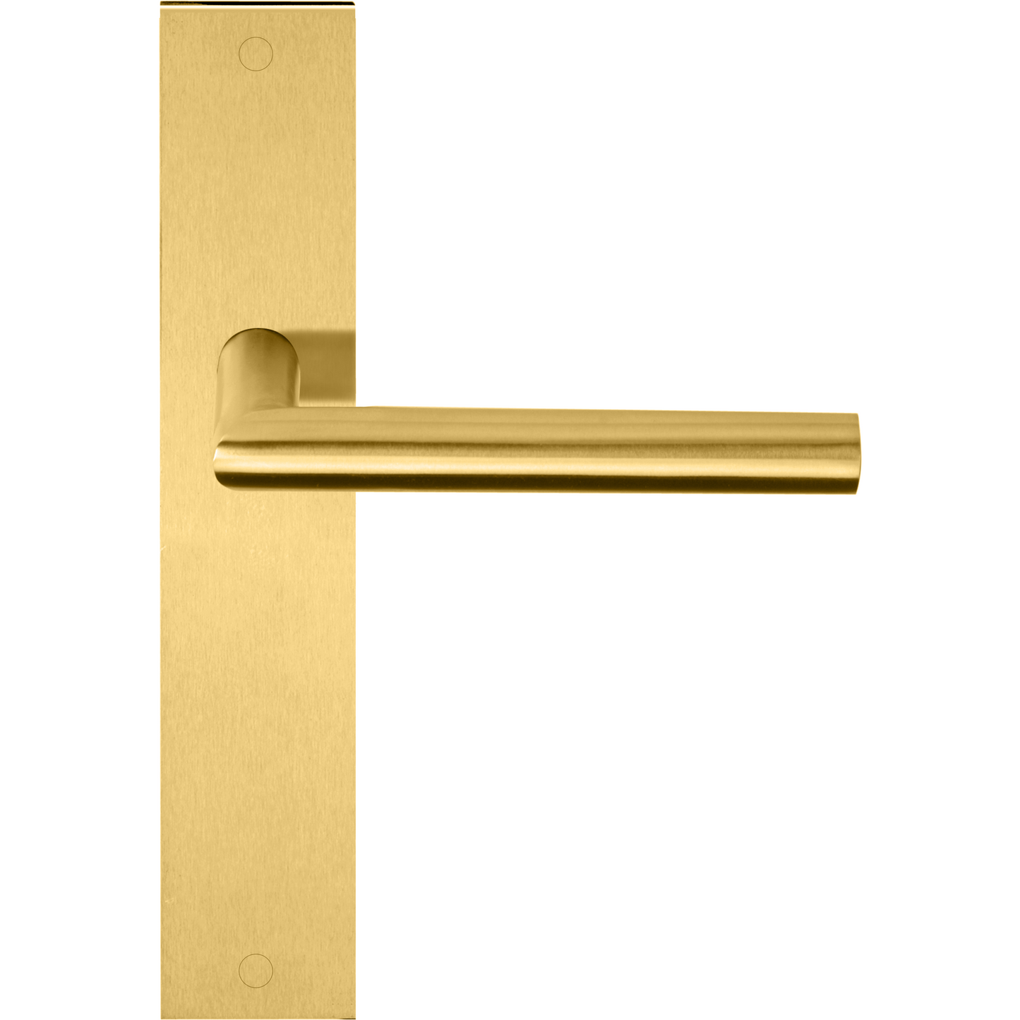 LB2-19P236SFC - Door Handles On Plate