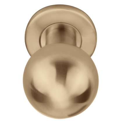 LB501D - Knobs