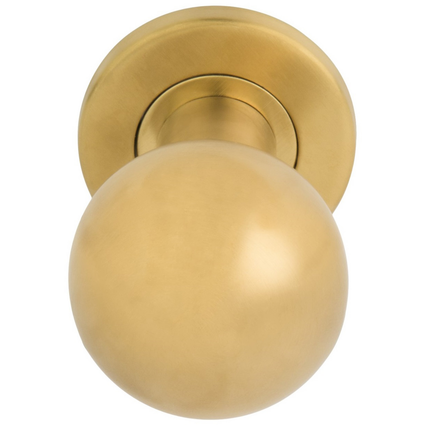 LB501D - Knobs