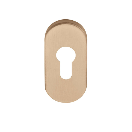 LBY32 - Pz Cylinder Escutcheons