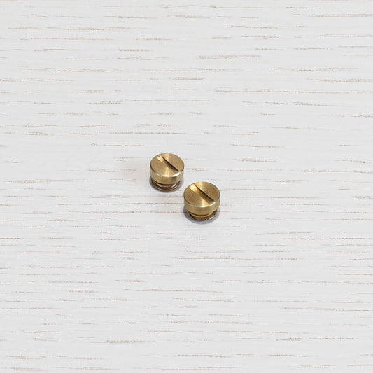 COIN SCREW / MESHED / BRASS