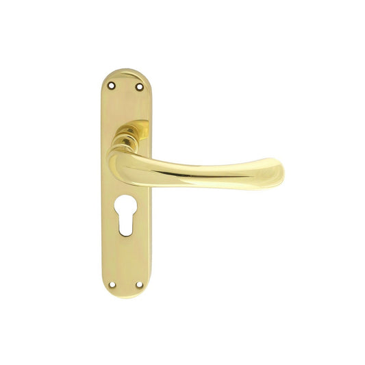 Ibra Lever on Euro Lock Backplate