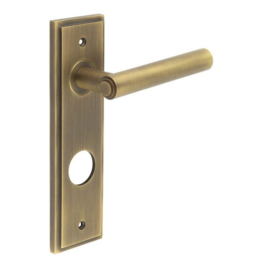 Richmond Door Handle Din Bathroom Backplate