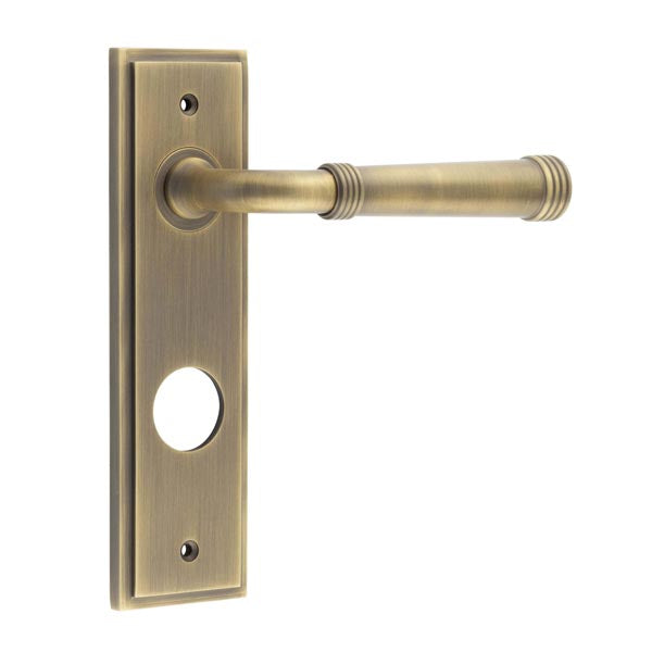 Highgate Door Handle Din Bathroom Backplate