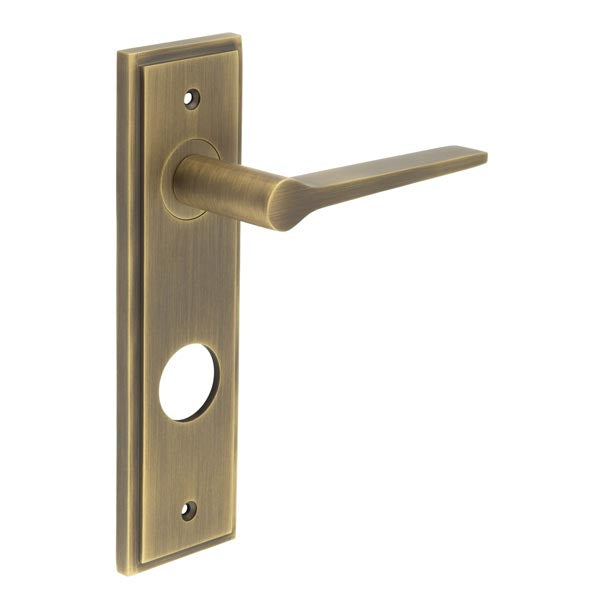 Knightbridge Door Handle Din Bathroom Backplate