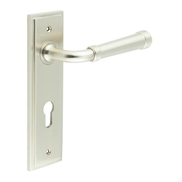 Highgate Door Handle Din Euro Backplate