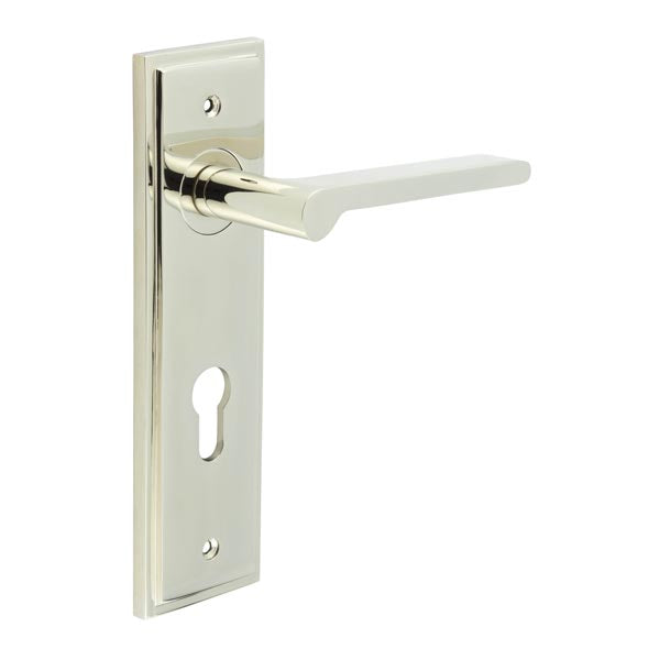 Fitzrovia Door Handle Din Euro Backplate