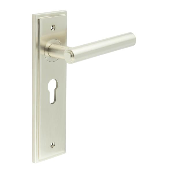 Richmond Door Handle Euro Backplate