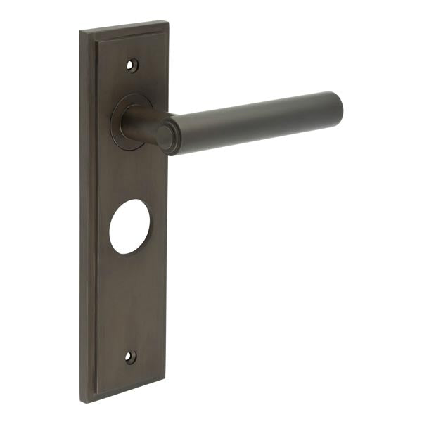 Richmond Door Handle Bathroom Backplate