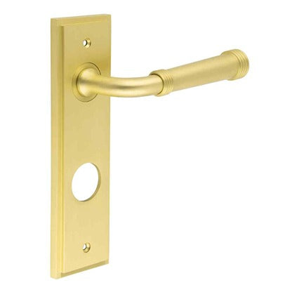Highgate Door Handle Din Bathroom Backplate