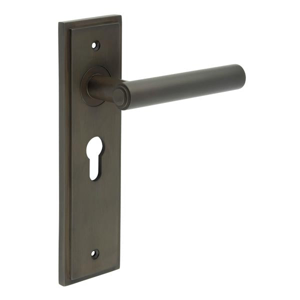 Richmond Door Handle Euro Backplate