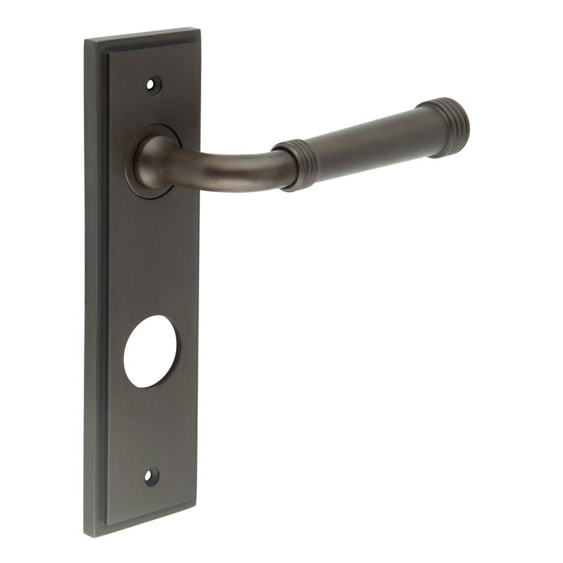 Highgate Door Handle Din Bathroom Backplate