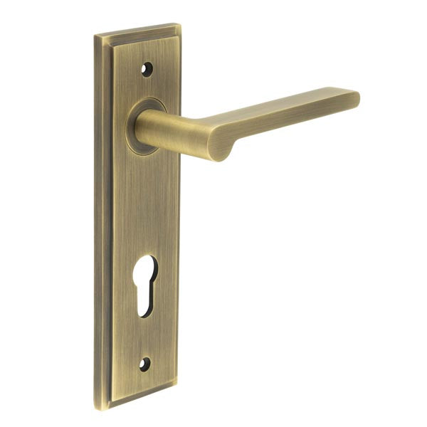 Fitzrovia Door Handle Din Euro Backplate