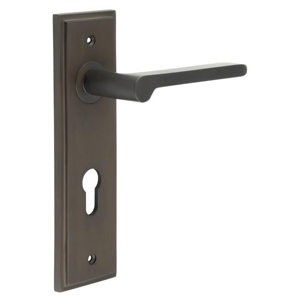 Fitzrovia Door Handle Din Euro Backplate