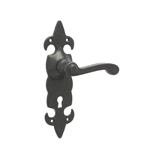 Fleur De Lys Suite Door Handle on lockplate