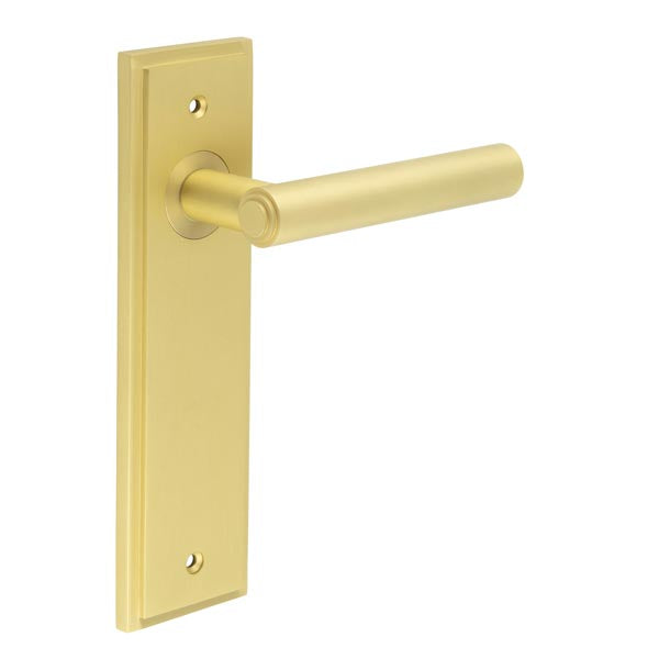 Richmond Door Handle Latch Backplate