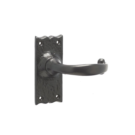 Regal Suite Door Handle Short Latchplate