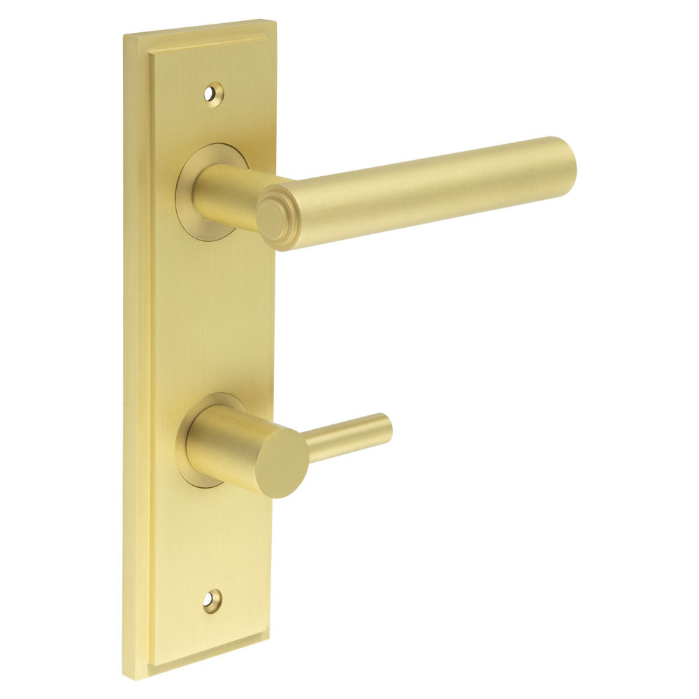 Richmond Door Handle Din Bathroom Backplate & Turn & Release