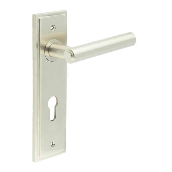 Richmond Door Handle Din Euro Backplate