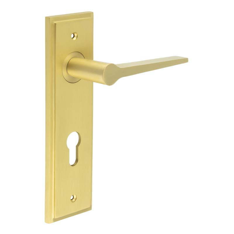 Knightbridge Door Handle Din Euro Backplate