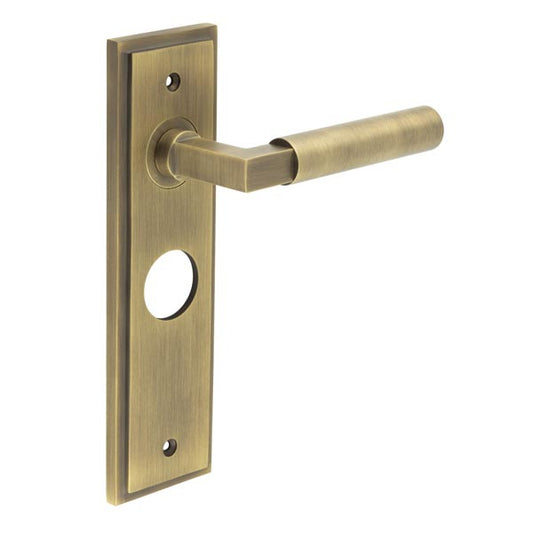 Westminster Door Handle Bathroom Backplate