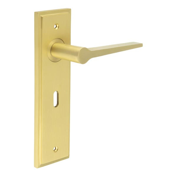 Knightbridge Door Handle Lock Backplate