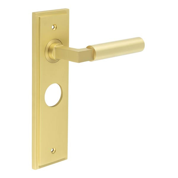 Westminster Door Handle Bathroom Backplate
