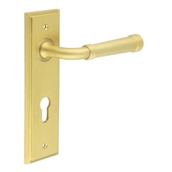 Highgate Door Handle Din Euro Backplate