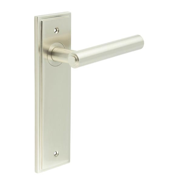 Richmond Door Handle Latch Backplate