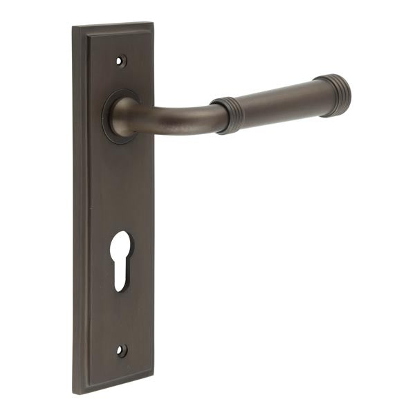 Highgate Door Handle Din Euro Backplate