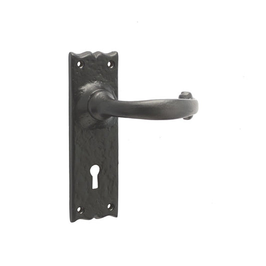 Regal Suite Door Handle on Lockplate