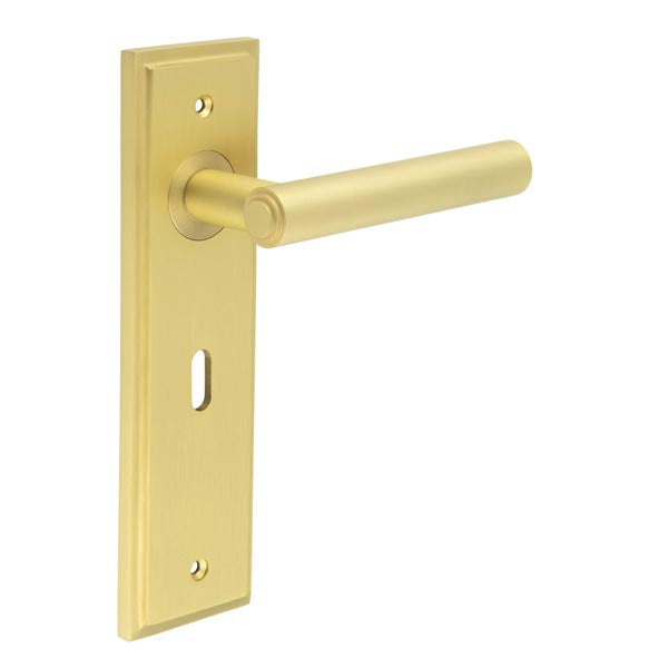 Richmond Door Handle Lock Backplate