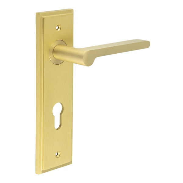 Fitzrovia Door Handle Din Euro Backplate