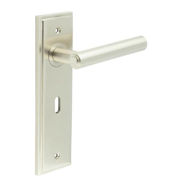 Richmond Door Handle Lock Backplate