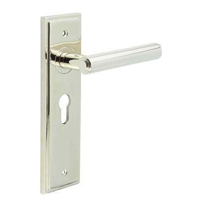 Richmond Door Handle Euro Backplate