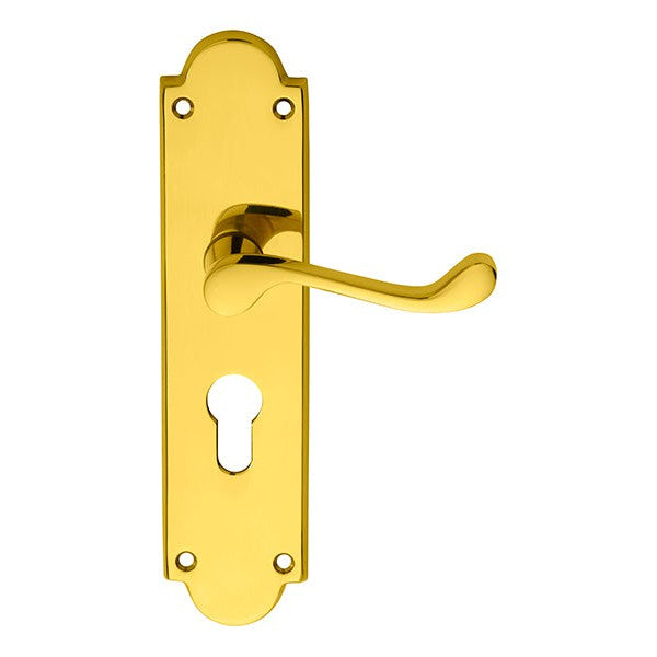 Victorian Scroll Lever on Shaped Euro Lock Backplate